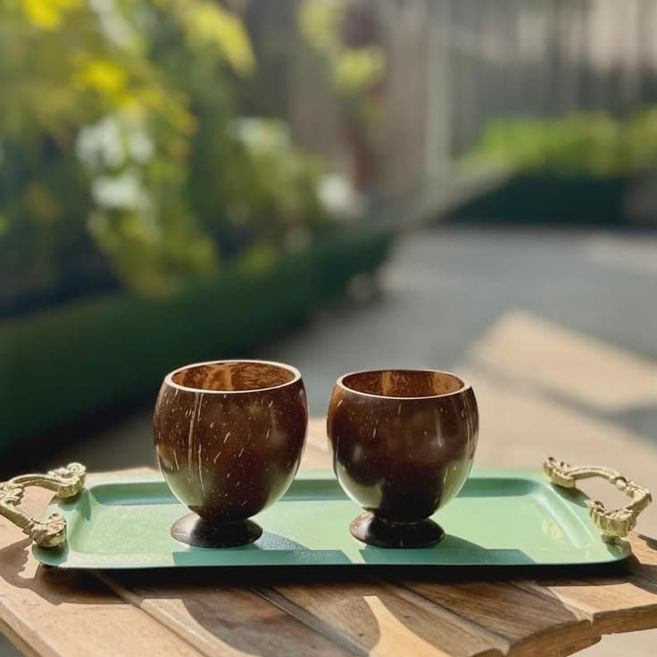 Coconut Shell Juice Cup — Set of 2