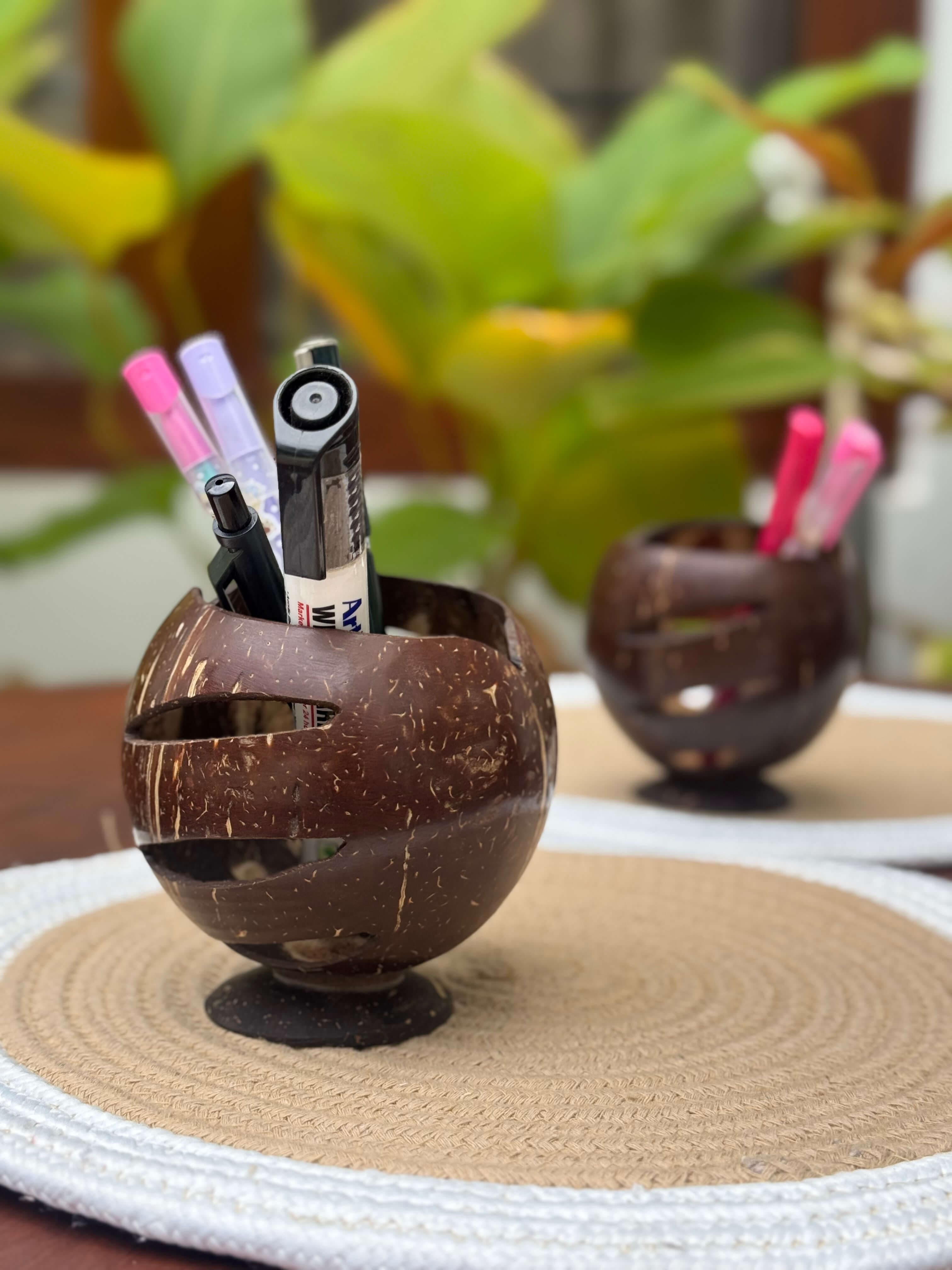 Thenga Story Coconut Shell & Wooden Pen Holder – Natural Desk Organiser for Pens, Pencils & Stationery (Set of 1)