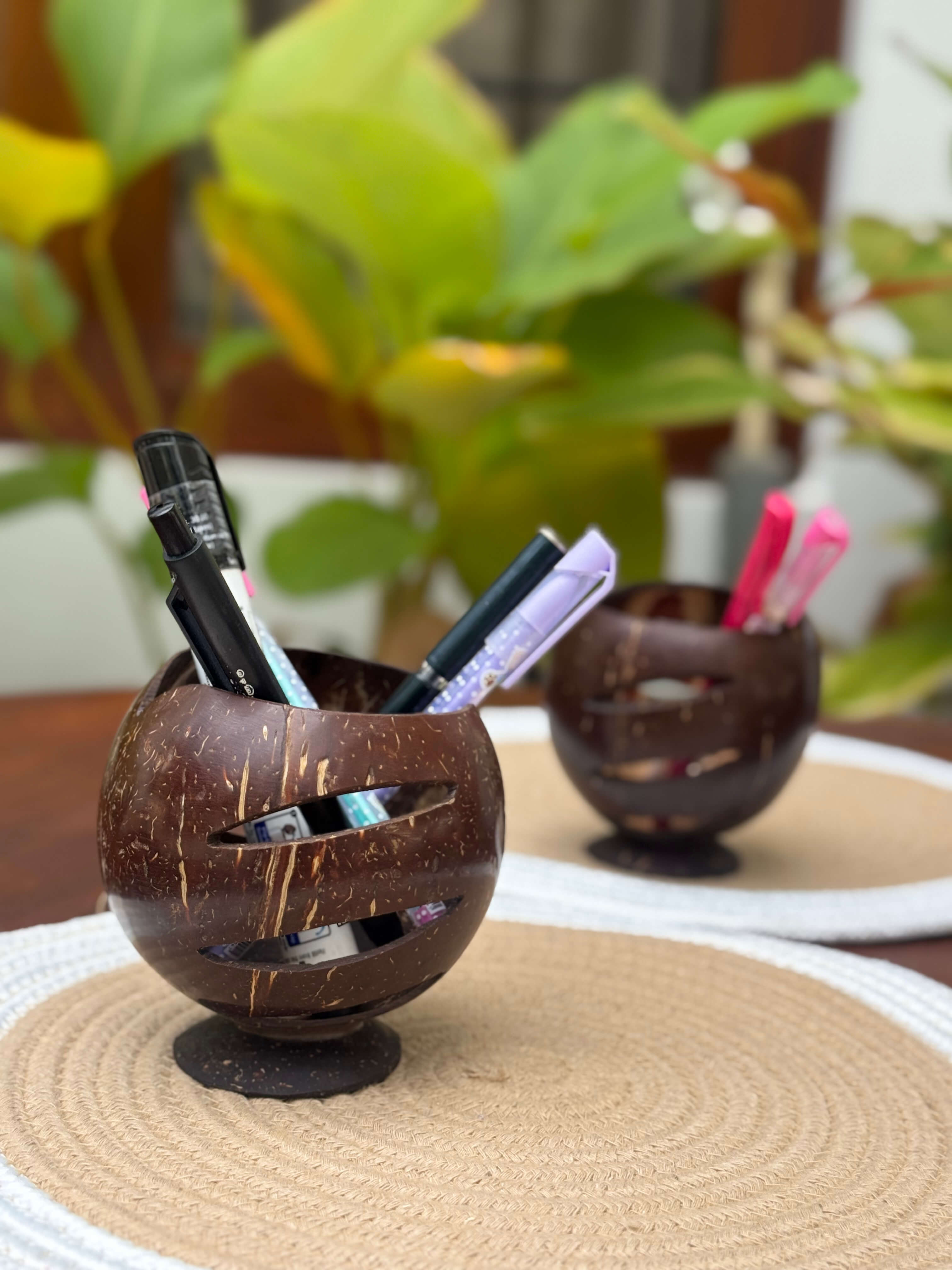 Thenga Story Coconut Shell & Wooden Pen Holder – Natural Desk Organiser for Pens, Pencils & Stationery (Set of 1), thumbnail 2