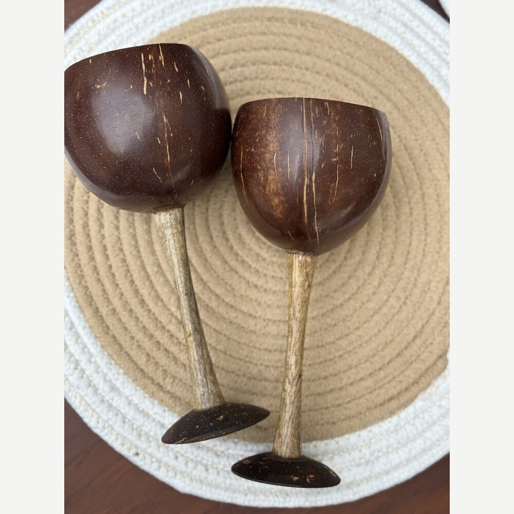  Thenga Story Coconut Shell & Wooden Wine Glasses for Red Wine & Beverage Serving (Set of 2)
