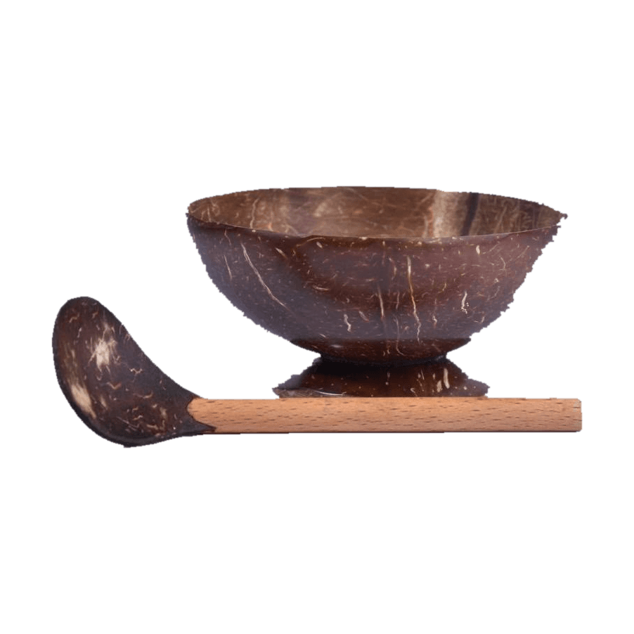 Coconut Shell Bowl with Spoon