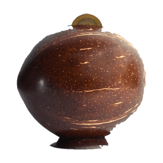 Coconut Shell Piggy Bank