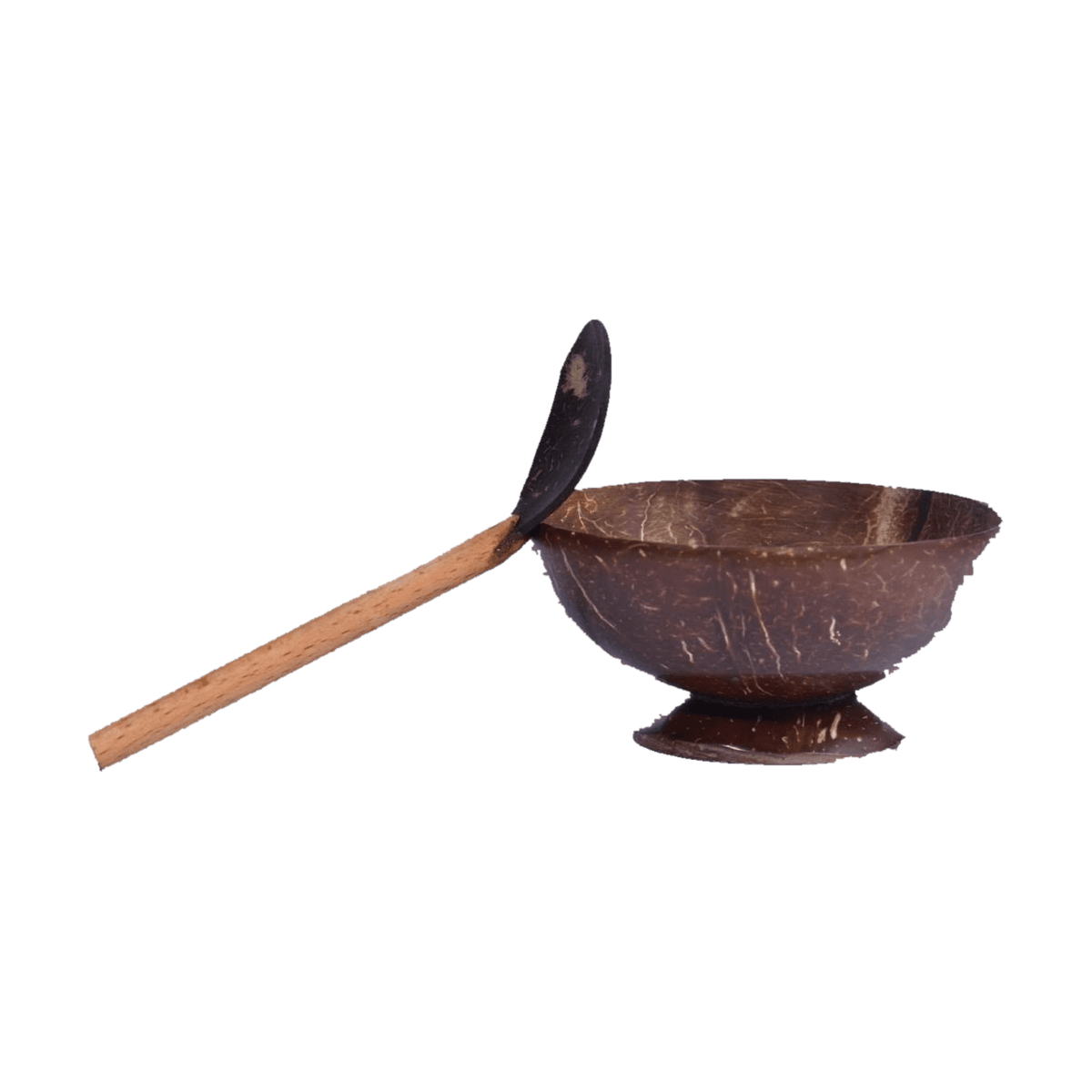 Coconut Shell Serving Bowl with Ladle