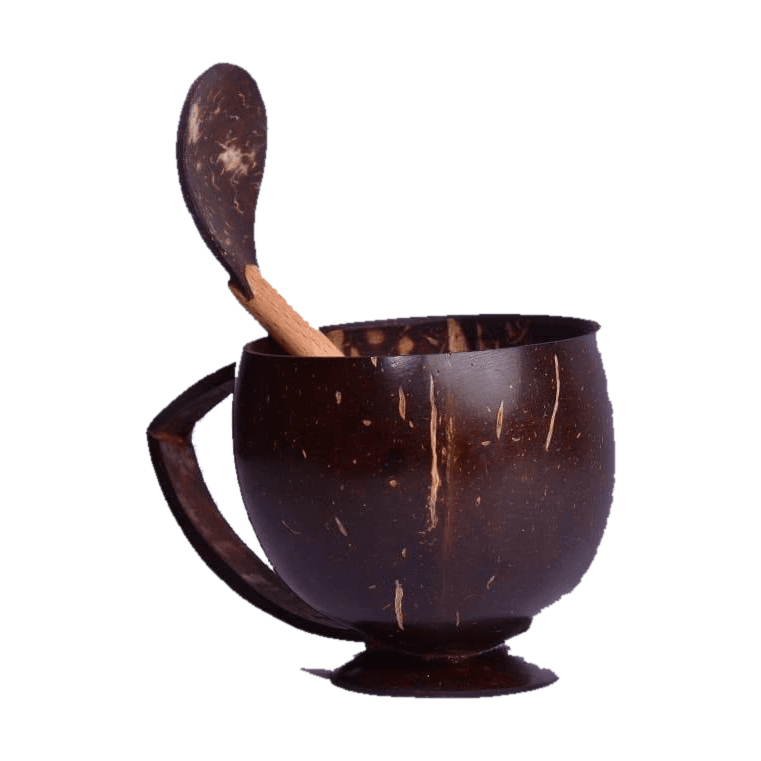 Coconut Shell Teacup — Set of 2