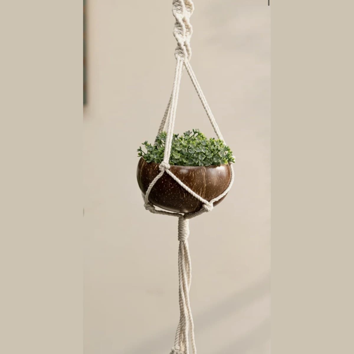 Hanging Macramé Planter