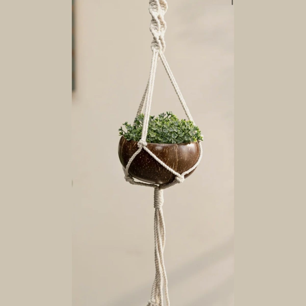 Hanging Macramé Planter