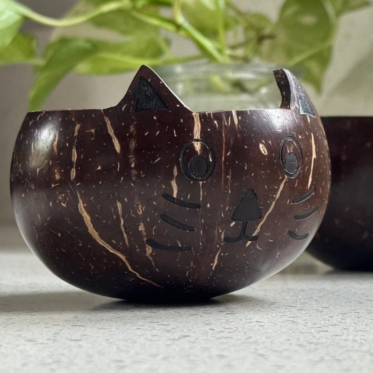 Kids Coconut Bowl