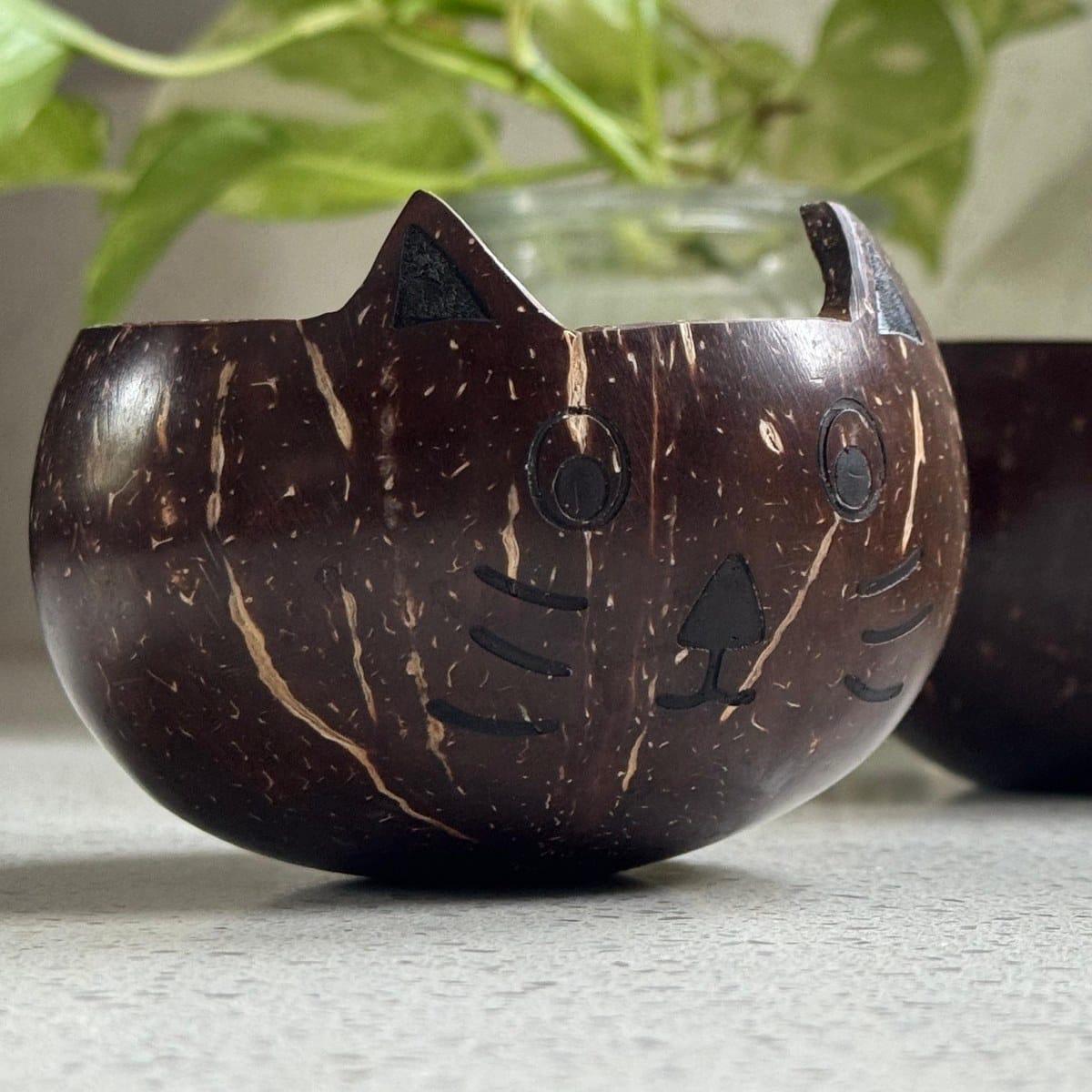 Kids Coconut Bowl