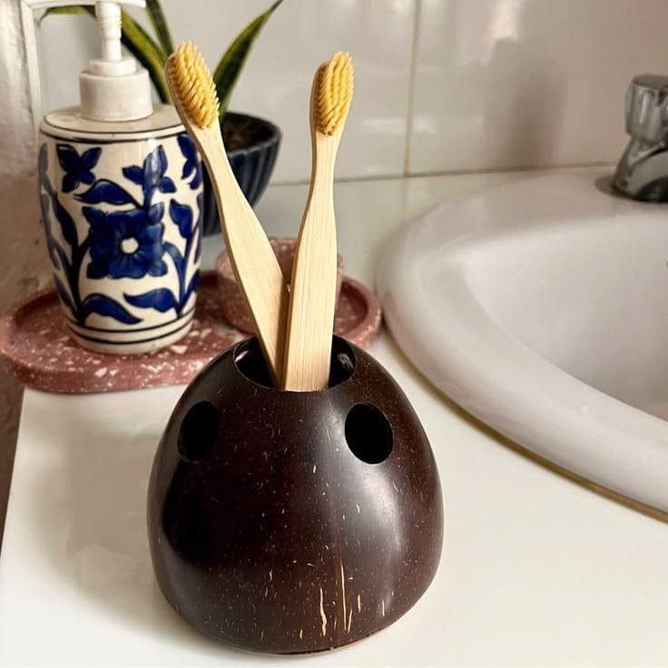 Coconut Shell Toothbrush Holder